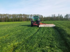 Mieszanka landsberska DLF