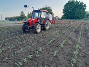 Zetor 7340 & Lisicki