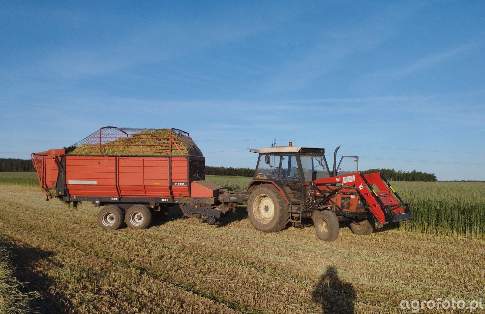 Foto ciągnik Zetor 7711 #835355 - Galeria rolnicza agrofoto