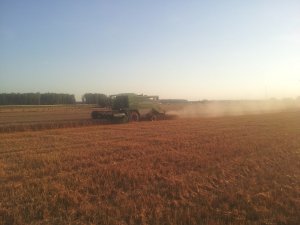 Fendt 5180 E