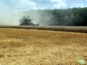 Fendt 6300C