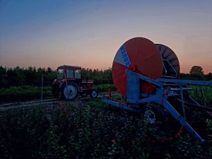 Bauer & MTZ 80