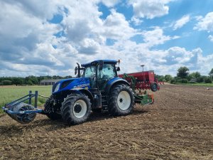 New Holland T7.165 s + Amazone+Poznaniak