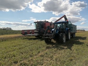 New Holland Ts135a & Dronningborg d8900