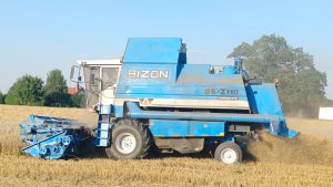 Bizon BS Z110