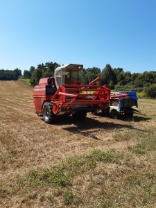 Zakończenie żniw 2024r. 
Massey Ferguson 16 