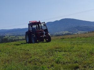 Case na tle góry cergowskiej 