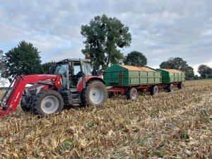 Massey Ferguson 5s