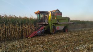 Claas Dominator 88sl Maxi & Geringhoff Mais Star Horizon