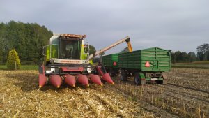 Claas Dominator 88sl Maxi & Geringhoff Mais Star Horizon