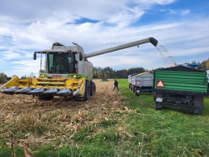 Claas lexion żniwa kukurydziane