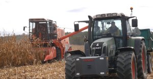 Fendt 716 Vario i Bizon Super