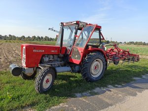 Ursus c-360 z kultywatorem 2.1 m dziekan 😎🚜