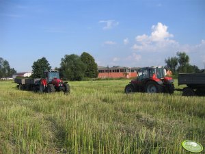 2 x Massey Feguson 5465