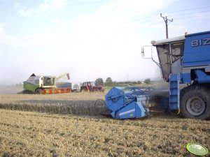 Bizon BS Z110 & Claas Mega 350