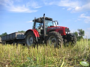 Massey Ferguson 5465