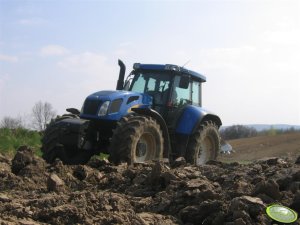 New Holland TVT 135 + Rabe Werk