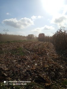 Bizon Z058 & New Holland