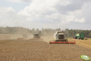 Fendt 930, Claas Lexion