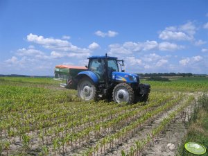 New Holland T6050 + Amazone ZA-M Ultra 3000