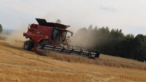 Case IH Axial Flow 7250 & Geringhoff TruFlex 9m.