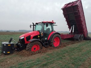 Kubota M5-112 i przyczepa BAASTRUP