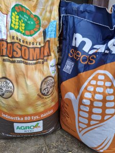 Kukurydza Rosomak & Hulk