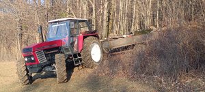 Ursus 1224