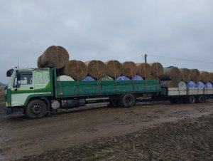 Volvo FL7 + Wackenhut