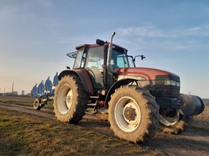 New Holland M 115 i Frost