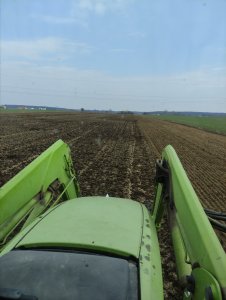 Uprawa pod kukurydzę