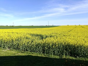 KWS derrick 25.04.2025