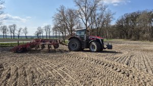 Massey Ferguson 9s.425 i Horsch Tiger 5