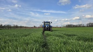 New Holland T6.175