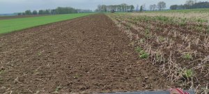 Uprawa pod kukurydzę 2025