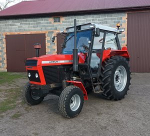Ursus 385