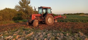 Belarus 572 & strumyk alfa