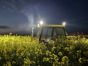 Więcej informacji o „Drugi zabieg na płatek”