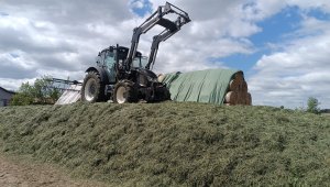 Forterra 135
