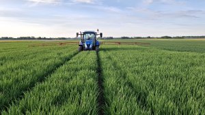 Jęczmień Jakubus 30.04.2025