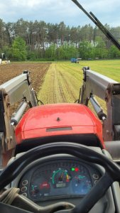 Likwidacja pszenżyta