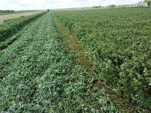 lucerna dsv 2060