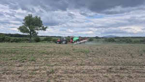 oprysk na chwasty w kukurydzy 