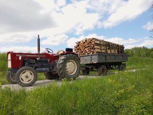Ursus C-355 Autosan D35