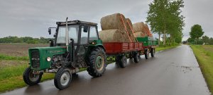 Ursus C-360 & Autosan d35 x2