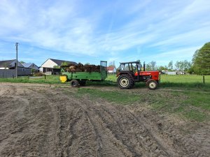 Ursus C-360 & Czarna białostocka