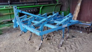 Gruber 11 zębów