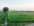 superfarmer02