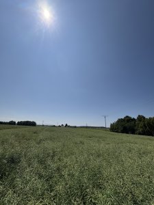 KWS Derrick