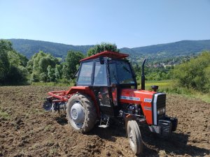 MF 255 & Brona  talerzowa  1.8m